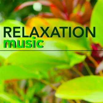 Relaxation Music - Chillout Lounge Music & Slow Songs for Relaxing Moments by Shiny Fashion Victim