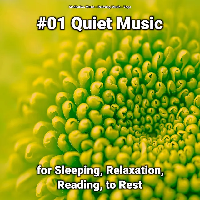 #01 Quiet Music for Sleeping, Relaxation, Reading, to Rest