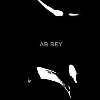 AB BeY by KitundKleber