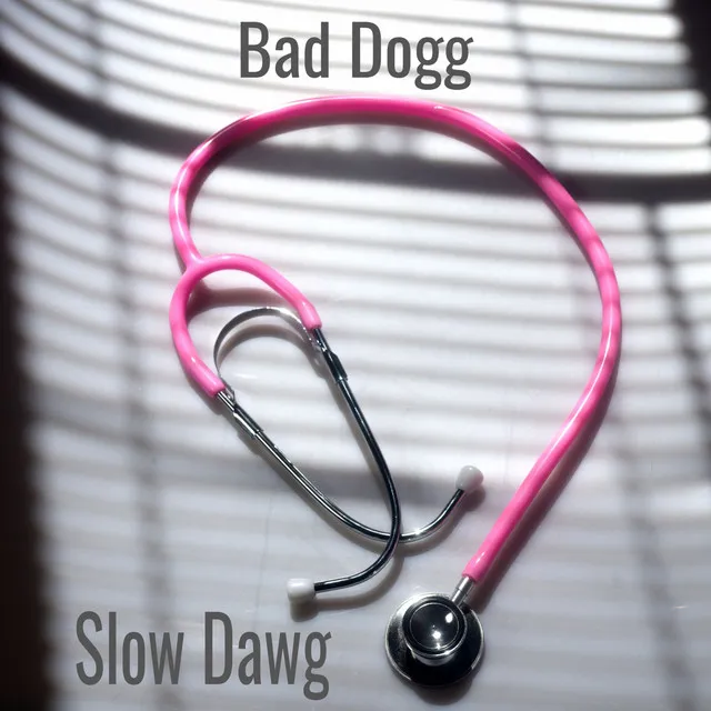 Slow Dawg (Hood)