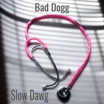 Slow Dawg by 