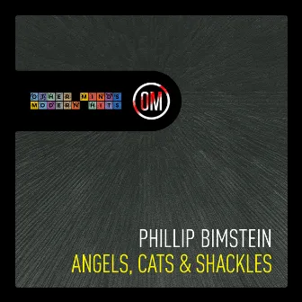 Bimstein: Angels, Cats & Shackles by Heidi Pintner