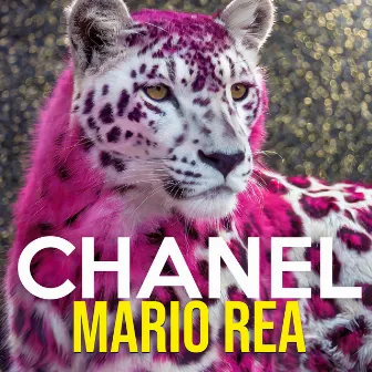 Chanel by Mario Rea