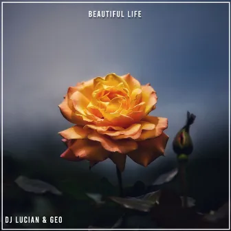 Beautiful Life by Dj Lucian