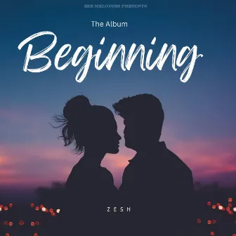 Beginning by Zesh