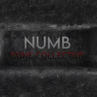 Bone Collector by NUMB