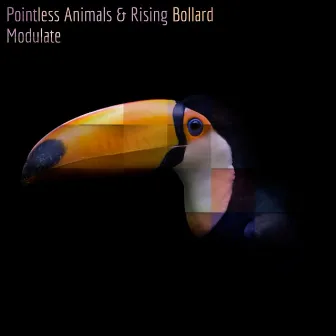 Modulate by Pointless Animals