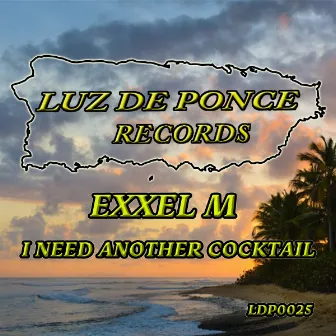 I Need Another Cocktail (Tribalicious Mix) by Exxel M