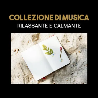 Collezione di musica rilassante e calmante (Terapia del sonno, Riduzione dello stress, Equilibrare la tua vita, Armonia dell'anima) by Musica tranquilla accademia