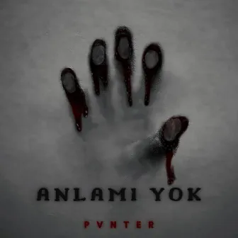 Anlamı Yok by PVNTER