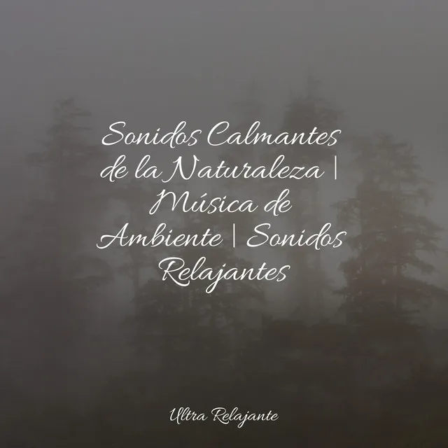 Sonidos Calmantes de la Naturaleza | Música de Ambiente | Sonidos Relajantes