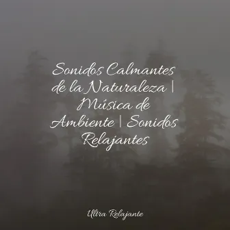 Sonidos Calmantes de la Naturaleza | Música de Ambiente | Sonidos Relajantes by Naturaleza Relajacion