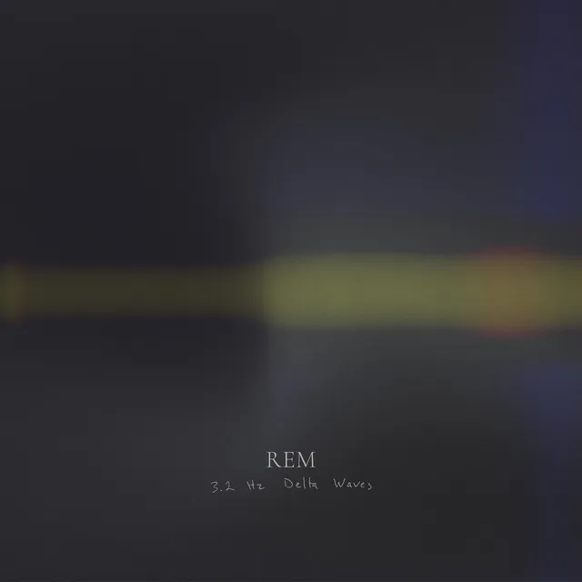 Rem 3.2 Hz Delta Waves