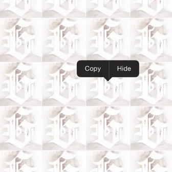 Copy | Hide by G