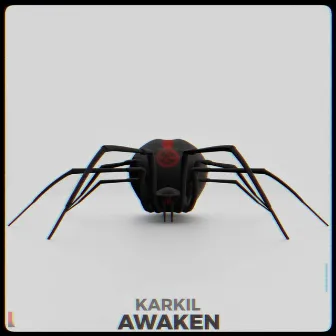 AWAKEN by Unknown Artist