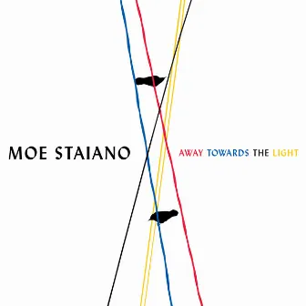 Away Towards the Light by Suki O'Kane