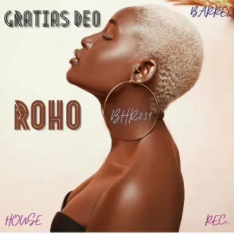 Roho (Original Mix) by Gratias Deo