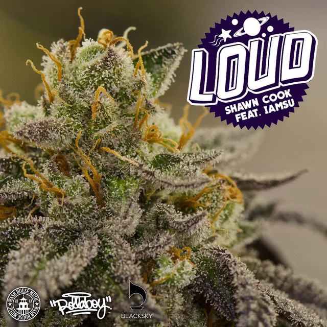 Loud (feat. Iamsu!)