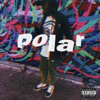 Polar by Patu