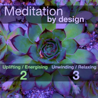 Meditation By Design 2: Uplifting & 3: Unwinding by LJ Rich