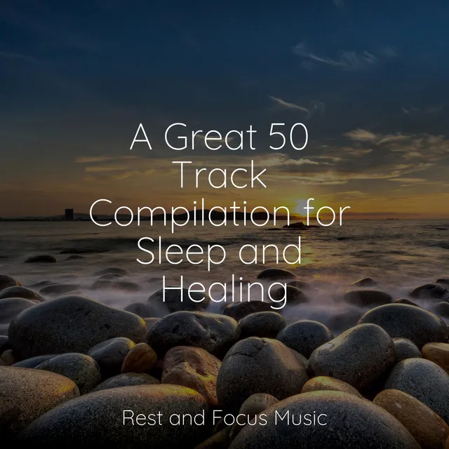 A Great 50 Track Compilation for Sleep and Healing