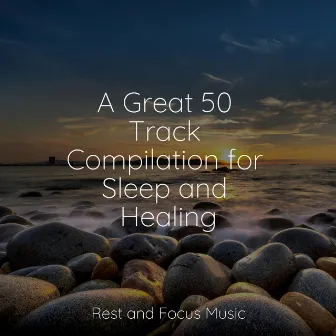 A Great 50 Track Compilation for Sleep and Healing by Guided Meditation Music Zone