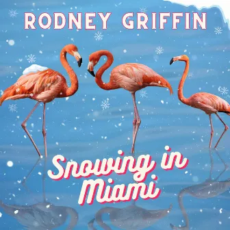 Snowing In Miami by Rodney Griffin