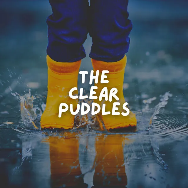 The Clear Puddles