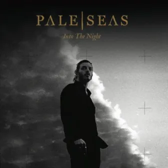 Into the Night (Radio Edit) by Pale Seas