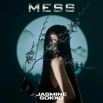 MESS by Jasmine Sokko