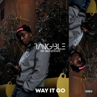 Way It Go by Tangible