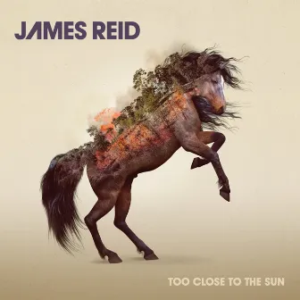 Too Close to the Sun by James Reid