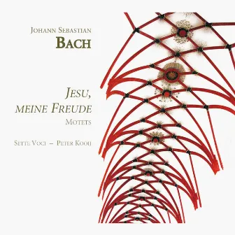 Bach: Jesu, meine Freude (Motets) by Peter Kooij