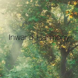 Inward Harmony by Calming Chords