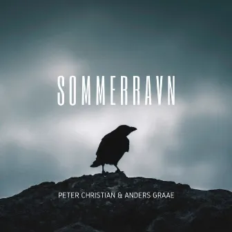 Sommerravn by Anders Graae