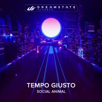 Social Animal by Tempo Giusto