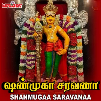 Shanmugaa Saravanaa by Alka Ajith