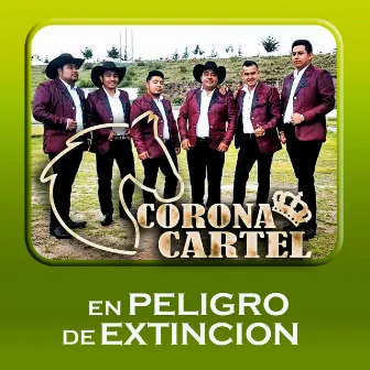 En Peligro De Extincion (Norteño) by Corona Cartel