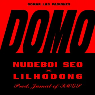 DOMO (feat. LIL HODONG) by 