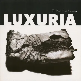 The Beast Box Is Dreaming by Luxuria