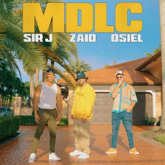 MDLC by Zaid