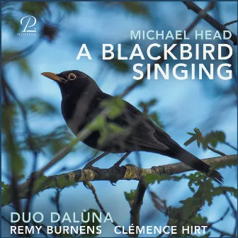 A Blackbird Singing by Michael Head