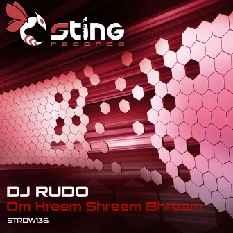 Om Hreem Shreem Bhreem by DJ Rudo