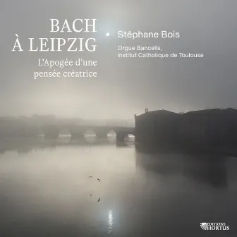 Bach à Leipzig: L'Apogée d'une pensée créatrice by Stéphane Bois