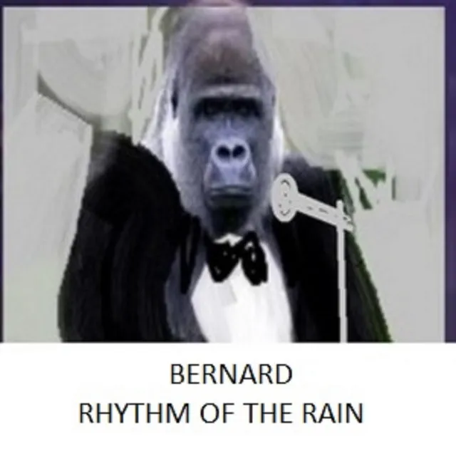 Rhythm Of The Rain