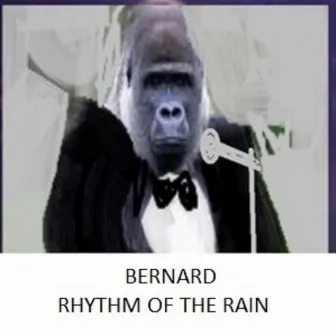 Rhythm Of The Rain by Bernard