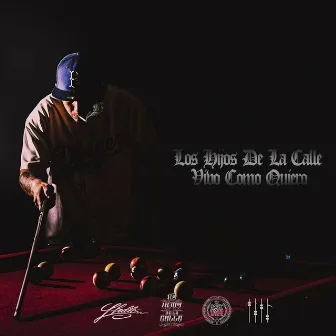 Vivo Como Quiero by Los Hijos de la Calle