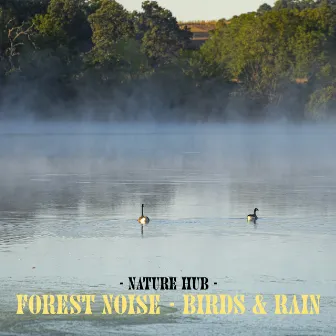 Forest Noise - Birds & Rain by Nature Hub