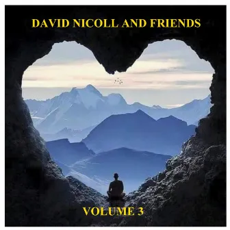 David Nicoll and Friends, Vol. 3 by David Nicoll