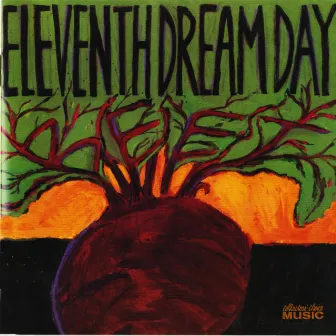 Beet by Eleventh Dream Day